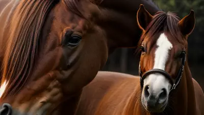 Horse farm under cinematic lighting immersive experience inspired by Nick Zuccarello