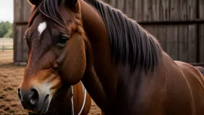 Horse farm under cinematic lighting immersive experience inspired by Nick Zuccarello