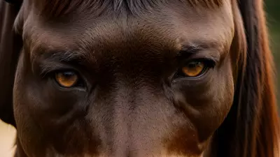 Horse farm under cinematic lighting immersive experience inspired by Nick Zuccarello