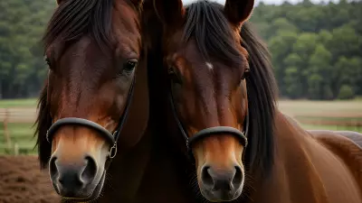Horse farm under cinematic lighting immersive experience inspired by Nick Zuccarello