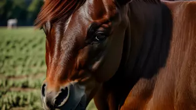Horse farm under cinematic lighting immersive experience inspired by Nick Zuccarello
