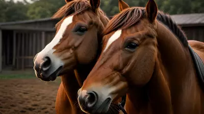 Horse farm under cinematic lighting immersive experience inspired by Nick Zuccarello