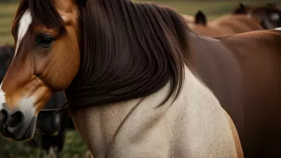 Horse farm under cinematic lighting immersive experience inspired by Nick Zuccarello