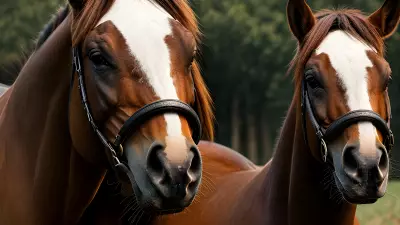 Horse farm under cinematic lighting immersive experience inspired by Nick Zuccarello