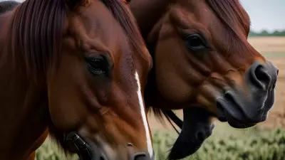Horse farm under cinematic lighting immersive experience inspired by Nick Zuccarello