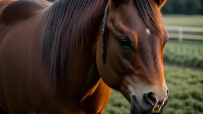 Horse farm under cinematic lighting immersive experience inspired by Nick Zuccarello