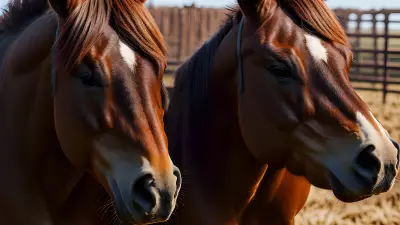 Horse farm under cinematic lighting immersive experience inspired by Nick Zuccarello