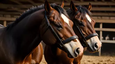 Horse farm under cinematic lighting immersive experience inspired by Nick Zuccarello