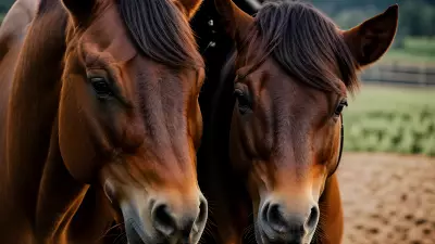 Horse farm under cinematic lighting immersive experience inspired by Nick Zuccarello