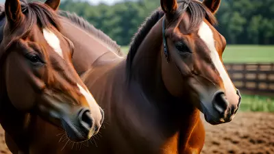 Horse farm under cinematic lighting immersive experience inspired by Nick Zuccarello