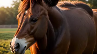 Horse farm under cinematic lighting immersive experience inspired by Nick Zuccarello
