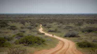 Candid Wild Encounters Serpentine Barrens