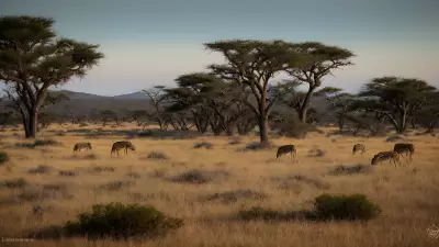 Candid Wild Encounters Serpentine Barrens