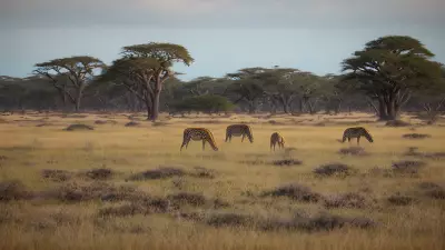 Candid Wild Encounters Serpentine Barrens