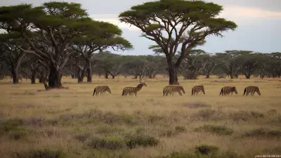 Candid Wild Encounters Serpentine Barrens
