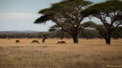 Candid Wild Encounters Serpentine Barrens