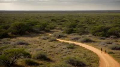 Candid Wild Encounters Serpentine Barrens