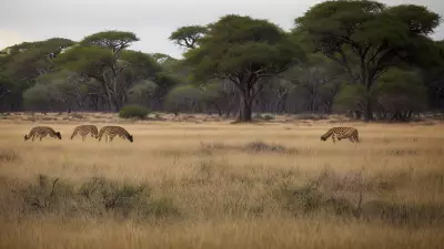Candid Wild Encounters Serpentine Barrens