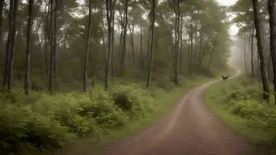 Delicate Balance in Gillian Jones' Thicket