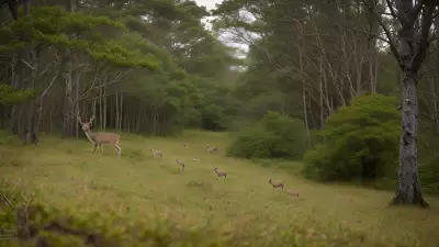Delicate Balance in Gillian Jones' Thicket