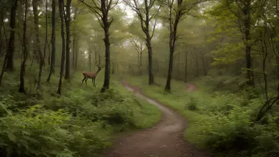 Delicate Balance in Gillian Jones' Thicket