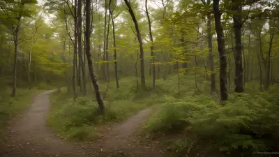 Delicate Balance in Gillian Jones' Thicket