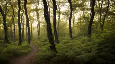 Delicate Balance in Gillian Jones' Thicket