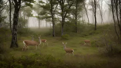 Delicate Balance in Gillian Jones' Thicket