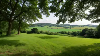 Let the Quaint Countryside Surround You An Ethereal Reading Experience