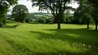 Let the Quaint Countryside Surround You An Ethereal Reading Experience