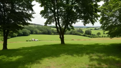 Let the Quaint Countryside Surround You An Ethereal Reading Experience