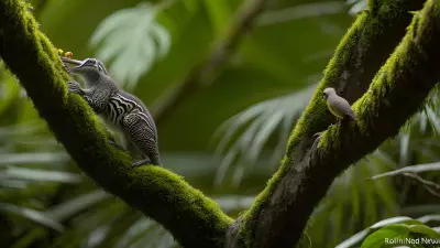 Tropical Wildlife A Photographer's Vision of Ecosystem Interplay