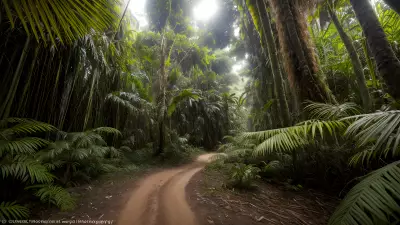 Tropical Wildlife A Photographer's Vision of Ecosystem Interplay