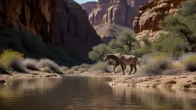 Canyon Safari Capturing the