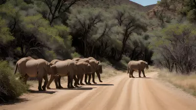 Canyon Safari Capturing the