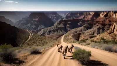 Canyon Safari Capturing the