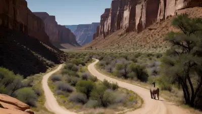 Canyon Safari Capturing the