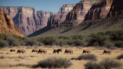 Canyon Safari Capturing the