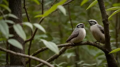 Sacred Courtships in Thickets A Glance into Wildlife Relationships