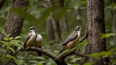 Sacred Courtships in Thickets A Glance into Wildlife Relationships