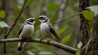 Sacred Courtships in Thickets A Glance into Wildlife Relationships