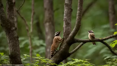 Sacred Courtships in Thickets A Glance into Wildlife Relationships