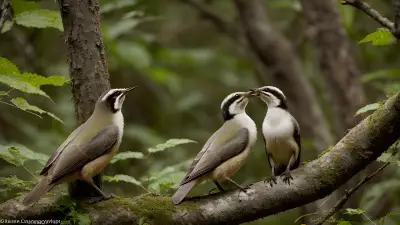 Sacred Courtships in Thickets A Glance into Wildlife Relationships