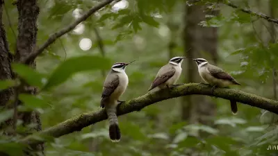 Sacred Courtships in Thickets A Glance into Wildlife Relationships