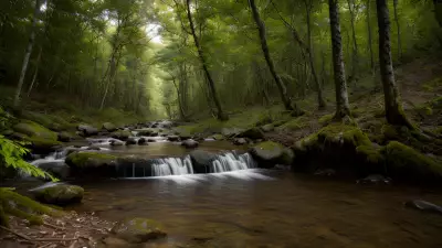 Wildlife Encounters in a Serene Forest Setting
