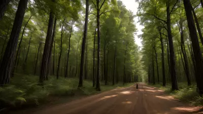 Wildlife Encounters in a Serene Forest Setting