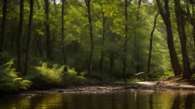 Wildlife Encounters in a Serene Forest Setting