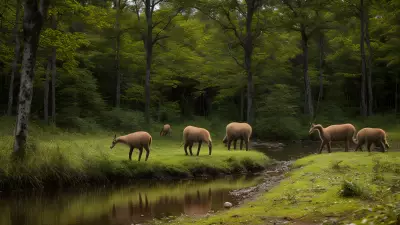 Wildlife Encounters in a Serene Forest Setting