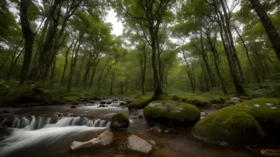 Wildlife Encounters in a Serene Forest Setting