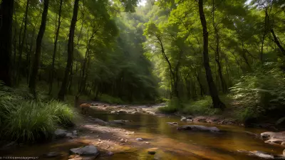 Wildlife Encounters in a Serene Forest Setting